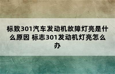 标致301汽车发动机故障灯亮是什么原因 标志301发动机灯亮怎么办